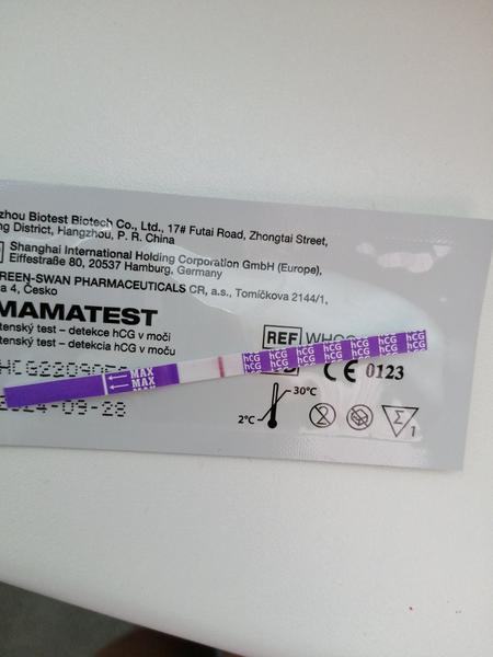 Jsem těhotná? Jak správně interpretovat výsledky těhotenského testu