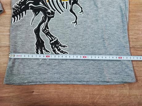 Tričko s dinosaurem, 110