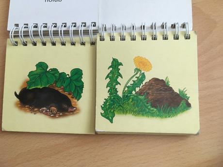 Leporelo najdi můj domeček, 