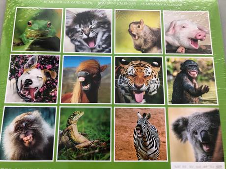 24 x obrázky foto do rámečku zvířata zoo pes barva, 