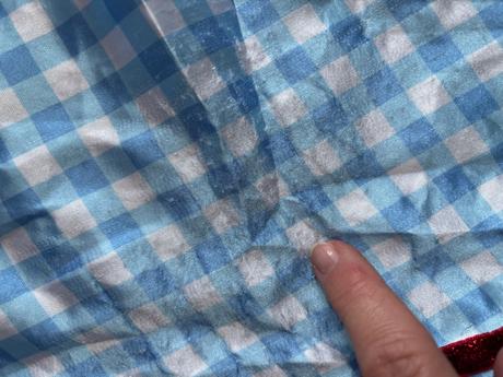 An3/ kostým dorotka ze země oz - v.6/8 let,