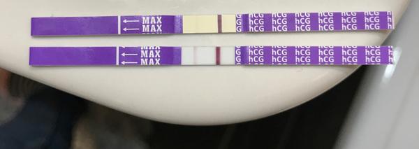 Jak rychle klesá hCG?