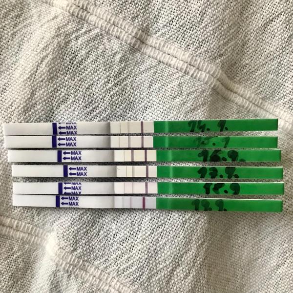 Je možné být těhotná s pozitivním ovulačním testem?