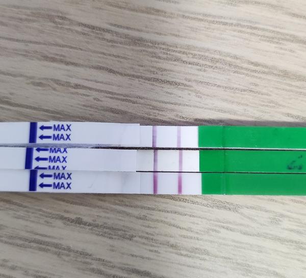 Zkušenosti s pozitivním ovulačním testem během tří dnů?