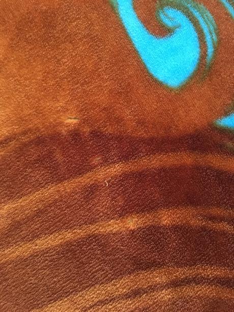 Dívčí deka disney princess,