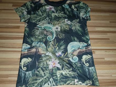 Tričko s chameleonem 116 mantaray, 116