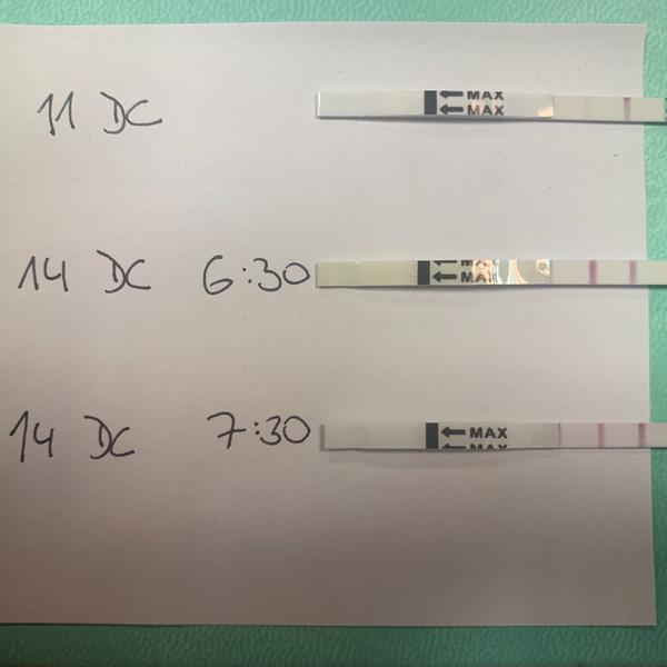 Ovulační testy. Je dnes den D?