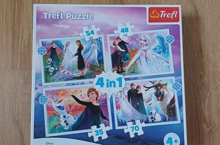 Puzzle frozen,