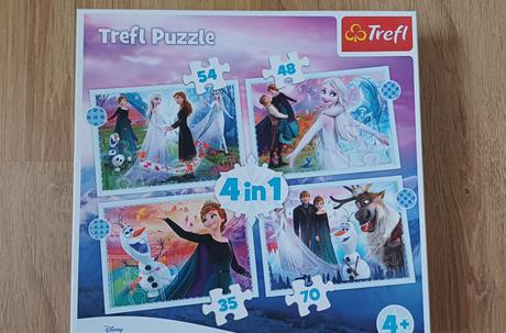 Puzzle frozen,