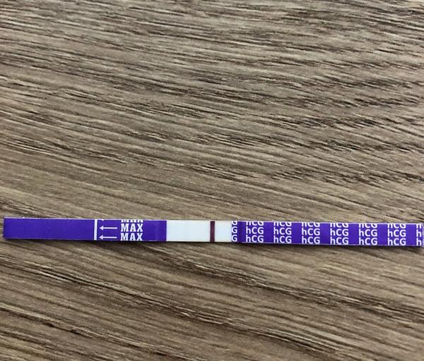 Vidíte ducha nebo rysku?