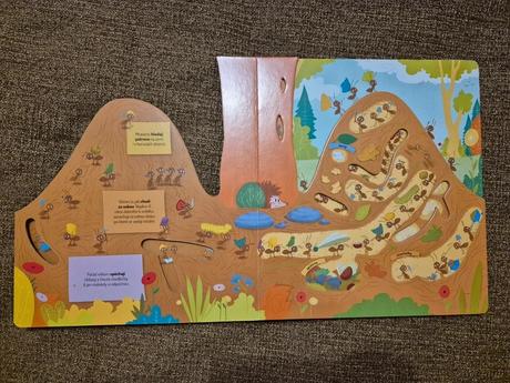 Dětská kniha - co se děje v mraveništi, 