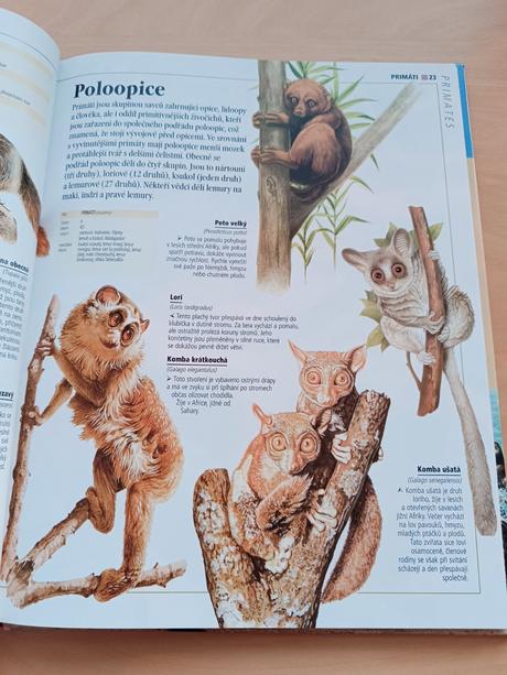 Dětská obrazová encyklopedie - zvířata, 