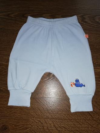 Polodupačky, ergee,62