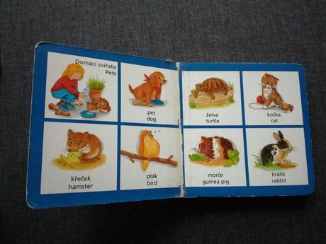 Angličtina - moje první slovíčka, 