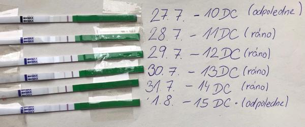 Pozitivní ovulační test?