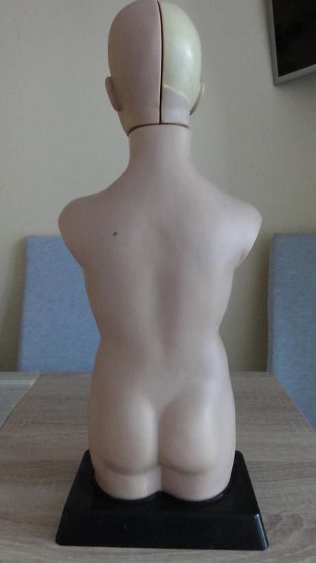 Trup - lidské tělo s vyjímatelnými orgány,