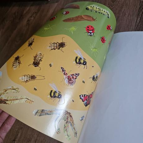 Velká samolepková kniha broučci, motýli a další, 
