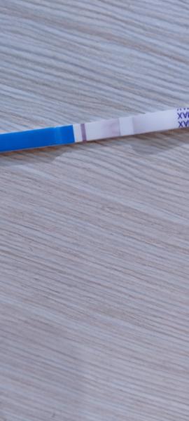 Vadný test Dr. Max?