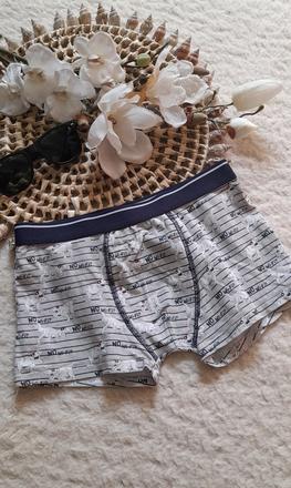 Dinosauří no wi-fi boxerky, 146