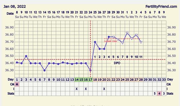 Měření bazální teploty: Kdy je ovulace a co špinění?