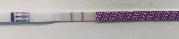 Vidíte v technologickém světě skutečný pokrok?