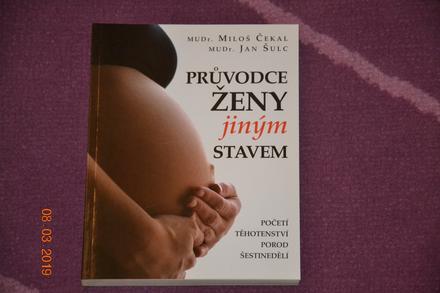 Průvodce ženy jiným stavem - čekal, šulc,