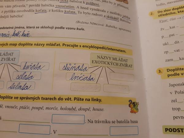 Pomoc s názvy mláďat exotických zvířat?