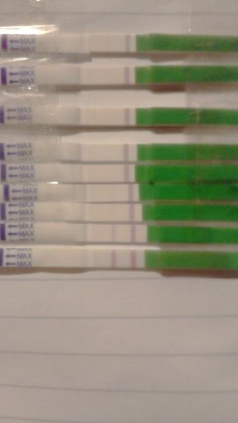 Ovulační test, je pozitivní?