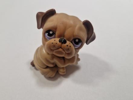 Littlest pet shop pes, 