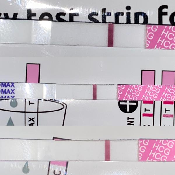 Zkušenosti s těhotenskými testy Livsane: Jak jsou spolehlivé?