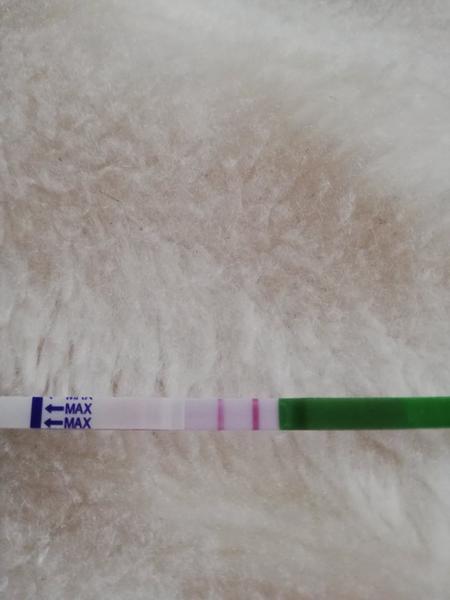 Ovulační test. Pozitivní?