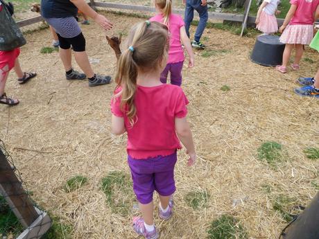 Tričko a 3/4 kalhoty vel. 110/116, lindex,116