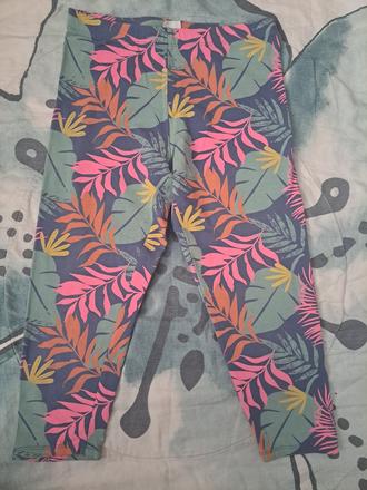 Legíny listy, coolclub,164