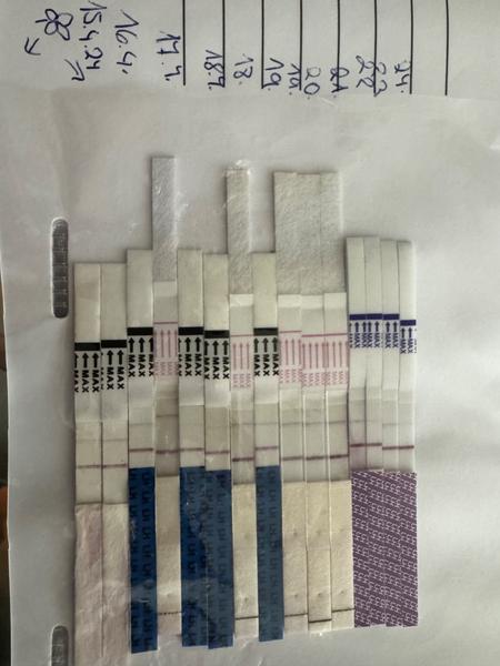 Kdy může ovulace nastat podle různých metod?