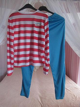 Karnevalový kostým, 