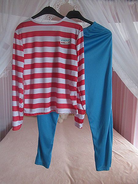 Karnevalový kostým, 