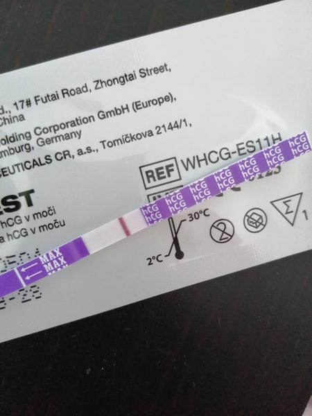 Jsem těhotná? Jak správně interpretovat výsledky těhotenského testu