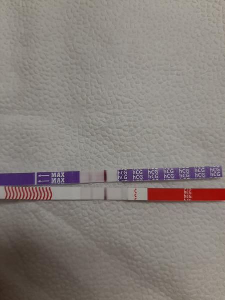 Pozitivní testy, u dr. zatím jen "cysta" nebo žluté tělísko.