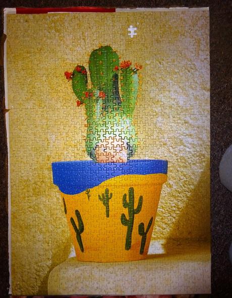 Velké puzzle kaktus,
