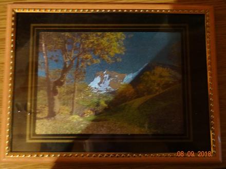 Obraz příroda a stromy,