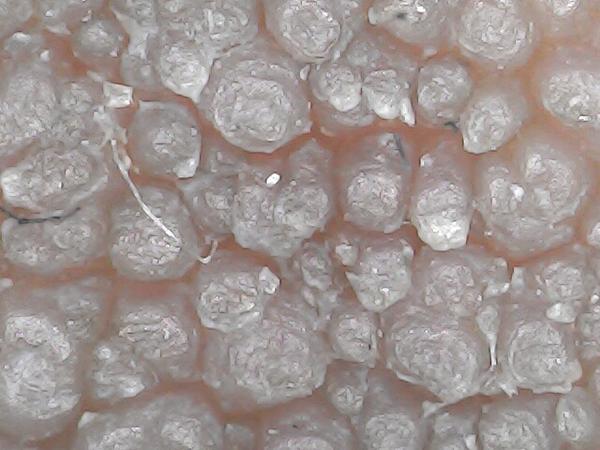 Nevíme, co to je. Poradíte, prosím?