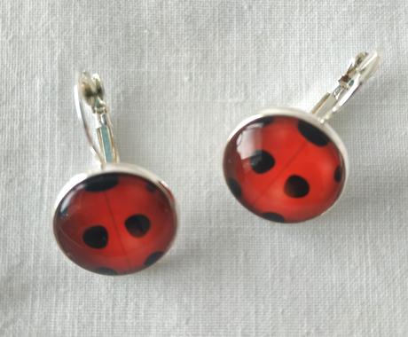 Náušnice - kouzelná beruška, 