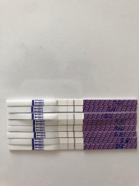 Ovulační test. Je možné, že 27. den byl pozitivní?