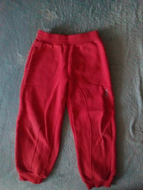 Silné tepláky, wolf,110