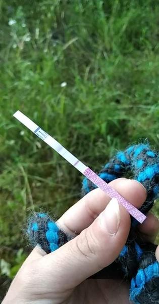 Test. Jsem v očekávání?