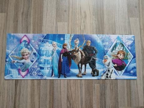 Puzzle frozen, 