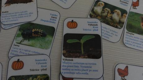 Montessori naučné kartičky, 