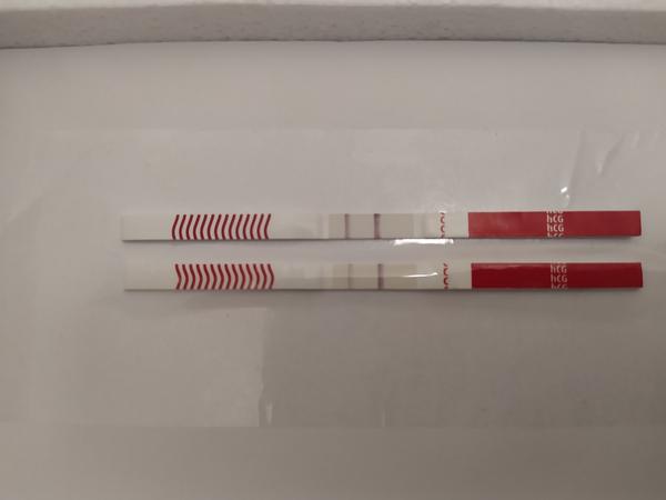 Těhotenství nebo cysta. Co myslíte?