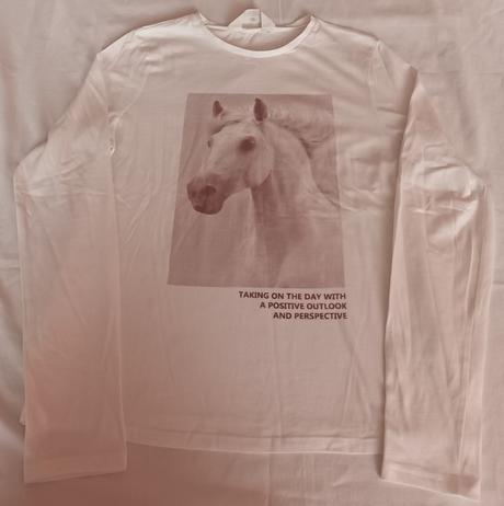 Dívčí triko dlouhý rukáv bílé kůň h&m, h&m,170