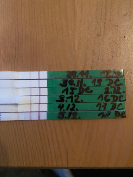 Jak poznat pozitivní ovulační test?